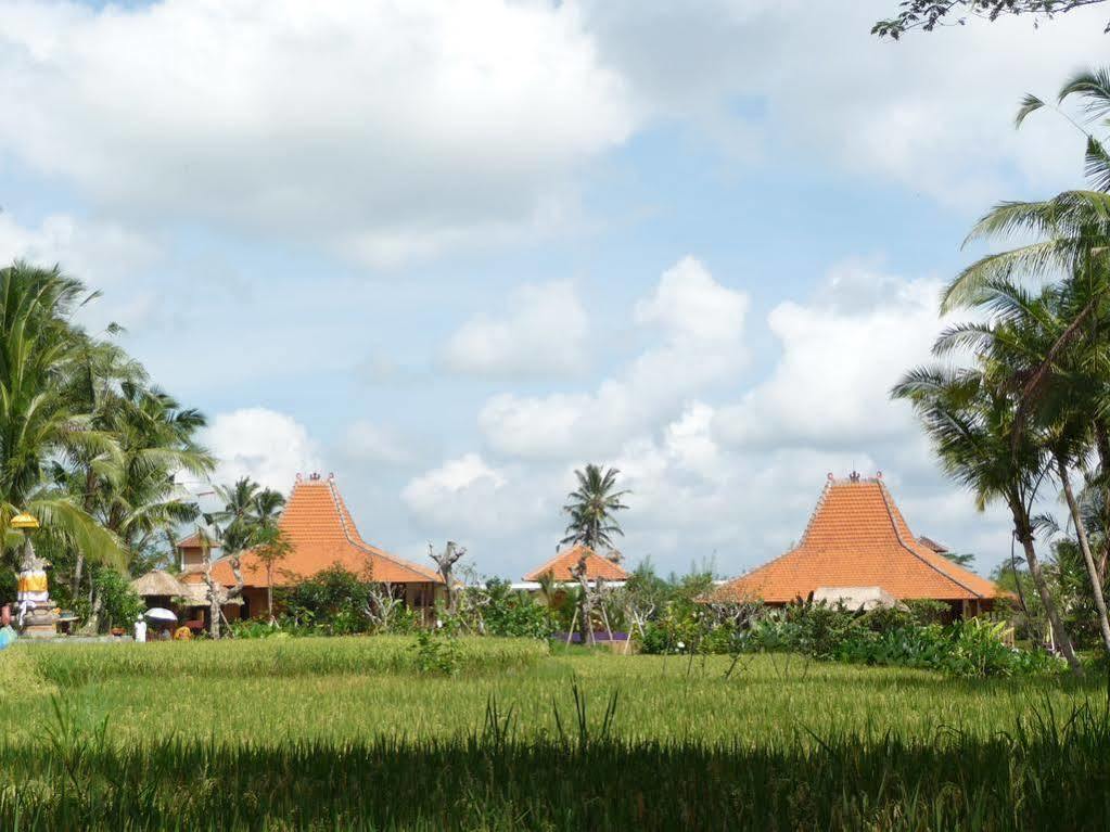 Vila Umajati Retreat Ubud Exteriér fotografie